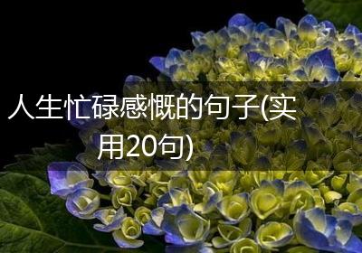 人生忙碌感慨的句子(实用20句)