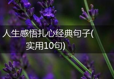 人生感悟扎心经典句子(实用10句)