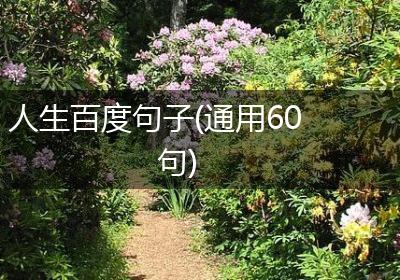 人生百度句子(通用60句)