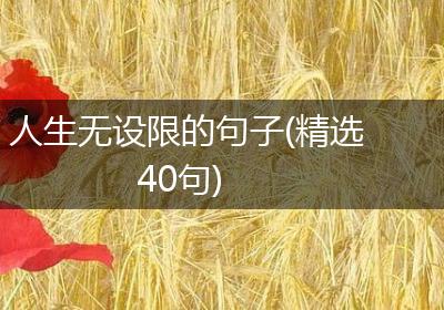 人生无设限的句子(精选40句)