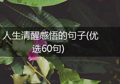 人生清醒感悟的句子(优选60句)