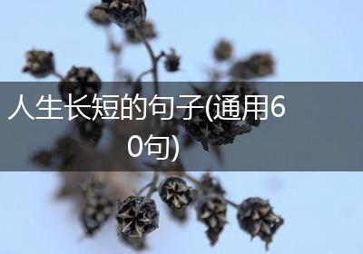 人生长短的句子(通用60句)
