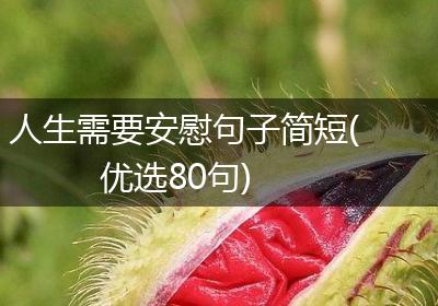 人生需要安慰句子简短(优选80句)