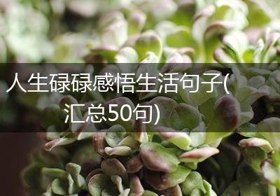 人生碌碌感悟生活句子(汇总50句)