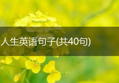 人生英语句子(共40句)
