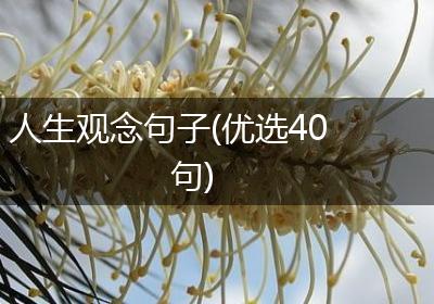 人生观念句子(优选40句)