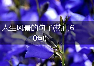 人生风景的句子(热门60句)