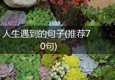 人生遇到的句子(推荐70句)