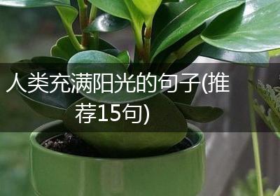 人类充满阳光的句子(推荐15句)