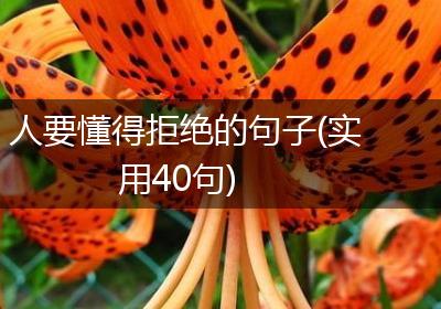 人要懂得拒绝的句子(实用40句)