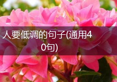 人要低调的句子(通用40句)