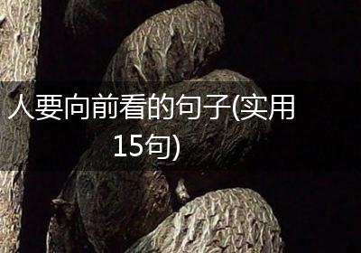 人要向前看的句子(实用15句)