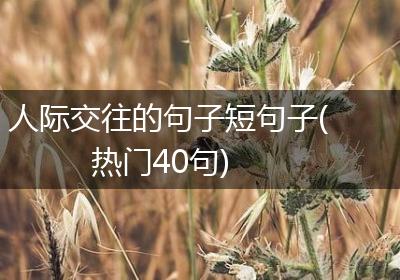 人际交往的句子短句子(热门40句)