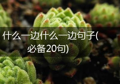 什么一边什么一边句子(必备20句)