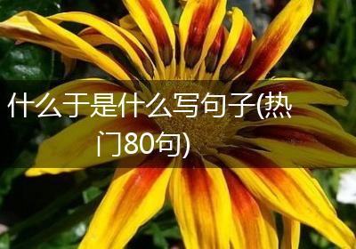 什么于是什么写句子(热门80句)