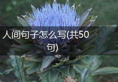 人间句子怎么写(共50句)