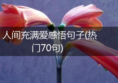 人间充满爱感悟句子(热门70句)