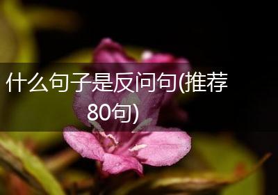 什么句子是反问句(推荐80句)