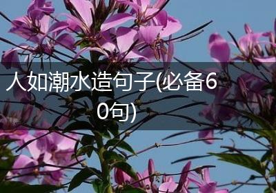 人如潮水造句子(必备60句)