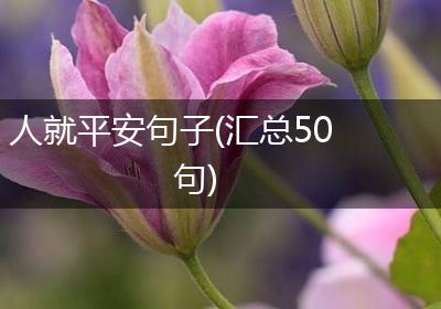 人就平安句子(汇总50句)
