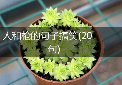 人和枪的句子搞笑(20句)