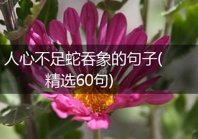 人心不足蛇吞象的句子(精选60句)
