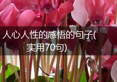 人心人性的感悟的句子(实用70句)