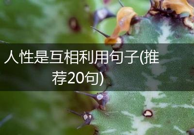 人性是互相利用句子(推荐20句)