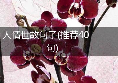 人情世故句子(推荐40句)