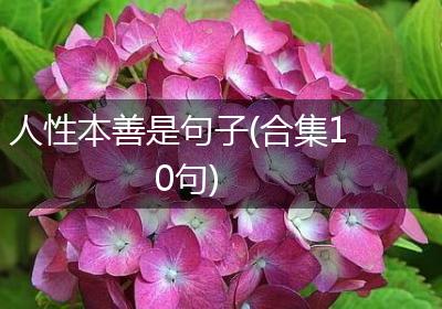 人性本善是句子(合集10句)