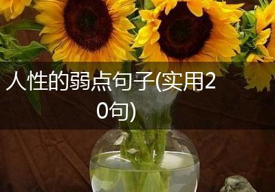 人性的弱点句子(实用20句)