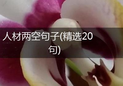 人材两空句子(精选20句)