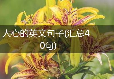 人心的英文句子(汇总40句)