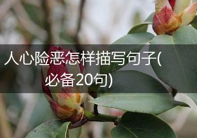 人心险恶怎样描写句子(必备20句)
