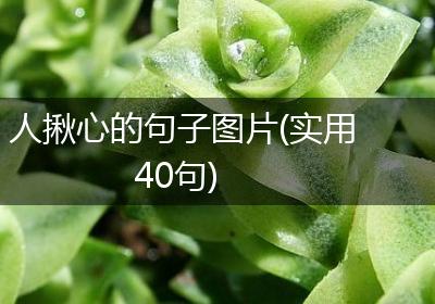 人揪心的句子图片(实用40句)