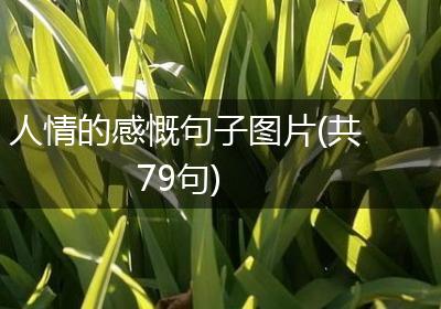 人情的感慨句子图片(共79句)