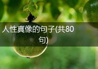 人性真像的句子(共80句)