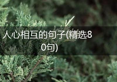 人心相互的句子(精选80句)