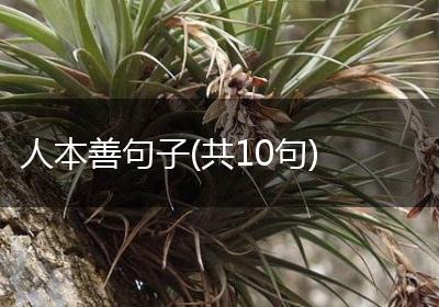 人本善句子(共10句)