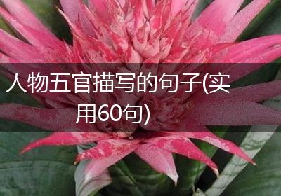 人物五官描写的句子(实用60句)