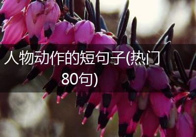 人物动作的短句子(热门80句)
