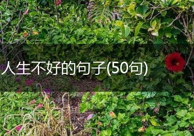 人生不好的句子(50句)