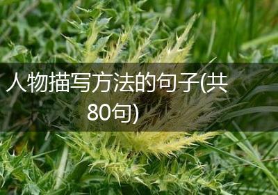 人物描写方法的句子(共80句)