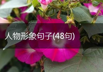 人物形象句子(48句)