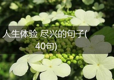 人生体验 尽兴的句子(40句)