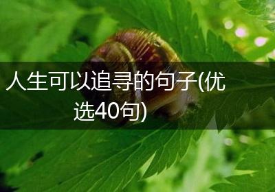 人生可以追寻的句子(优选40句)