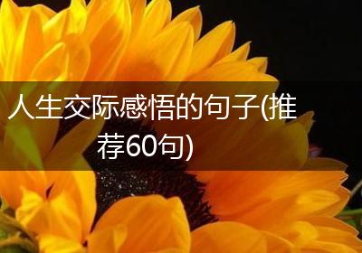 人生交际感悟的句子(推荐60句)