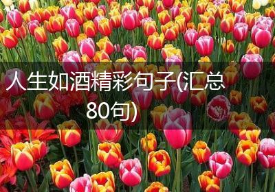 人生如酒精彩句子(汇总80句)