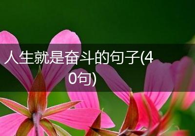 人生就是奋斗的句子(40句)