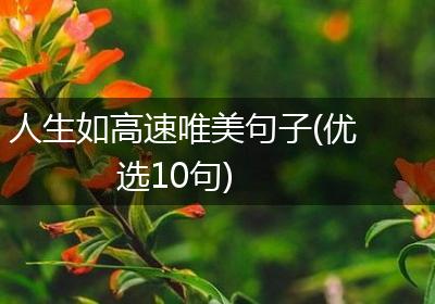 人生如高速唯美句子(优选10句)